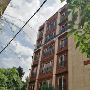 چوب ترمو در کردستان