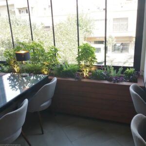 چوب ترمو کردستان 