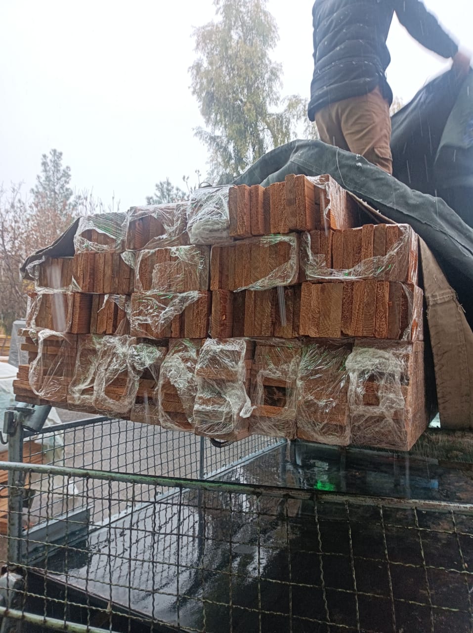 چوب ترمو کاج اروپایی