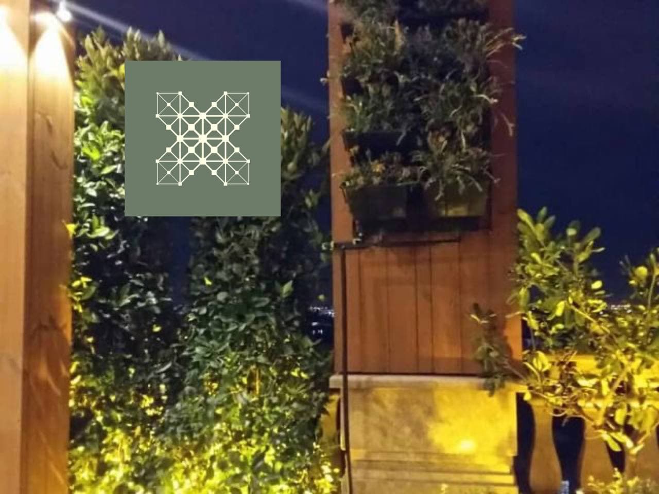 ترمو وود