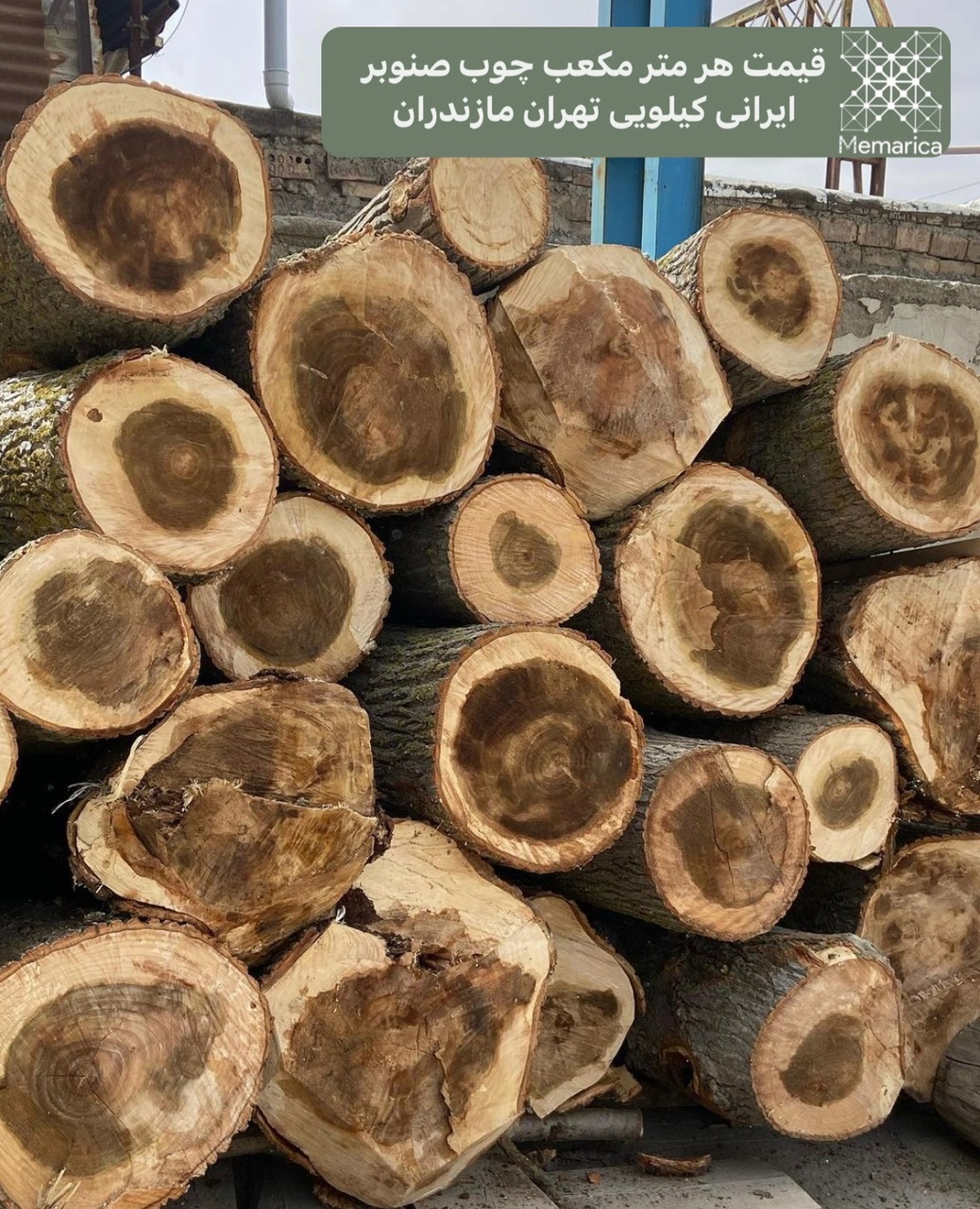 کارخانه خرید چوب صنوبر
